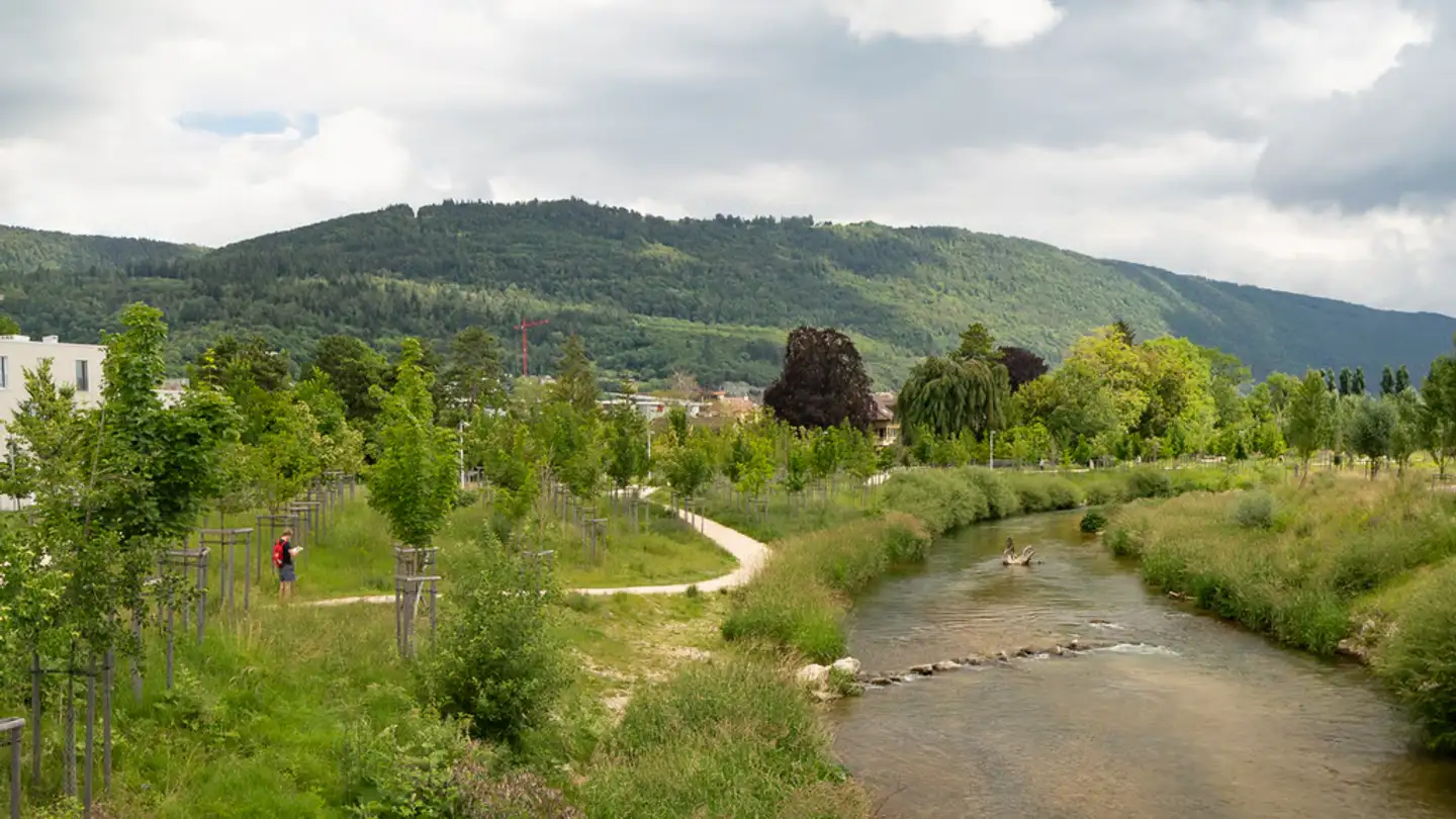 Apartment for rent - Im Grund 35, 2502 Biel/Bienne - Photo 4