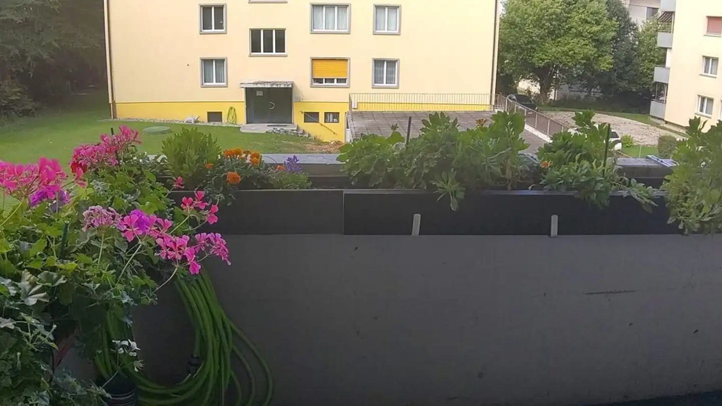 Wohnung mieten - Neuheimstrasse 32, 8853 Lachen SZ - Foto 4