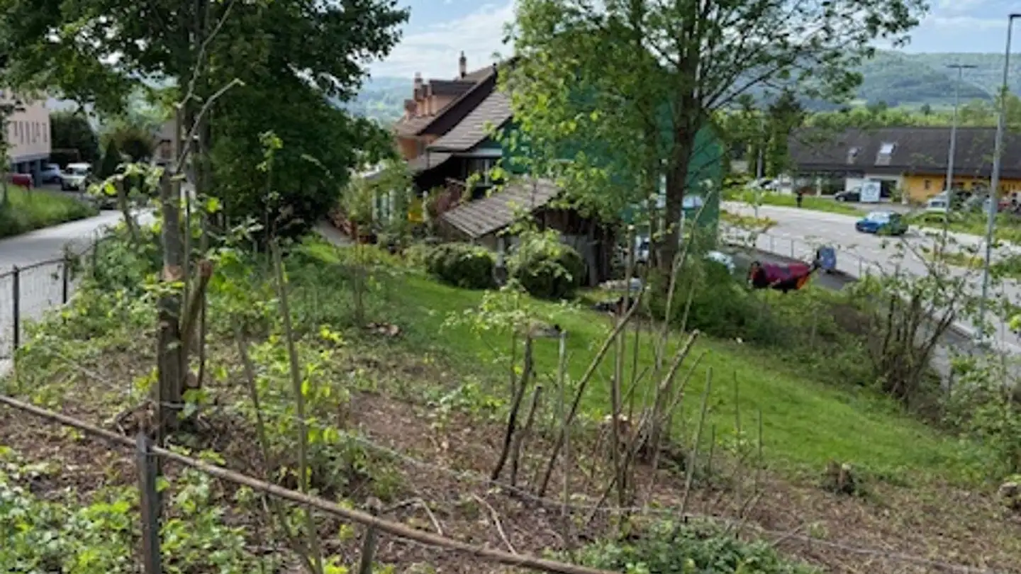 Ferme à vendre - Hauptstrasse 7, 5012 Wöschnau