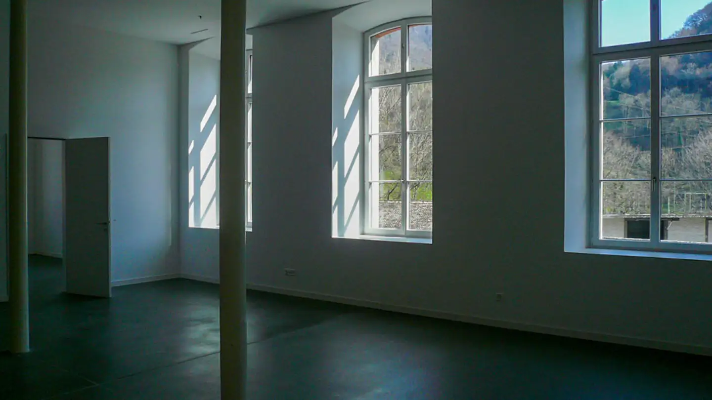 Loft for rent - Spinnereistrasse 8, 8866 Ziegelbrücke - Photo 4