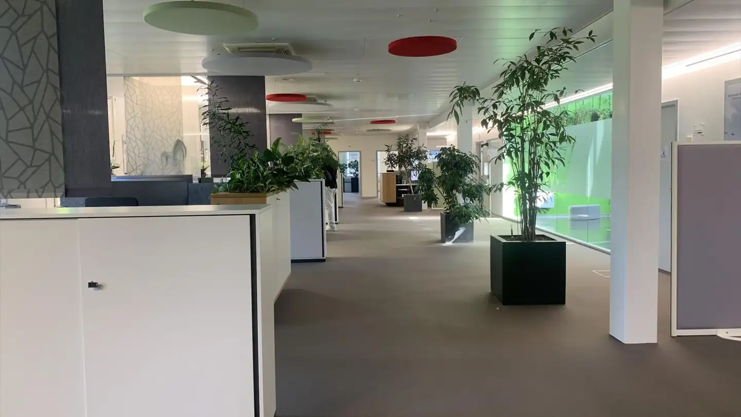 Bürofläche mieten - Route Sous-Riette, 1023 Crissier