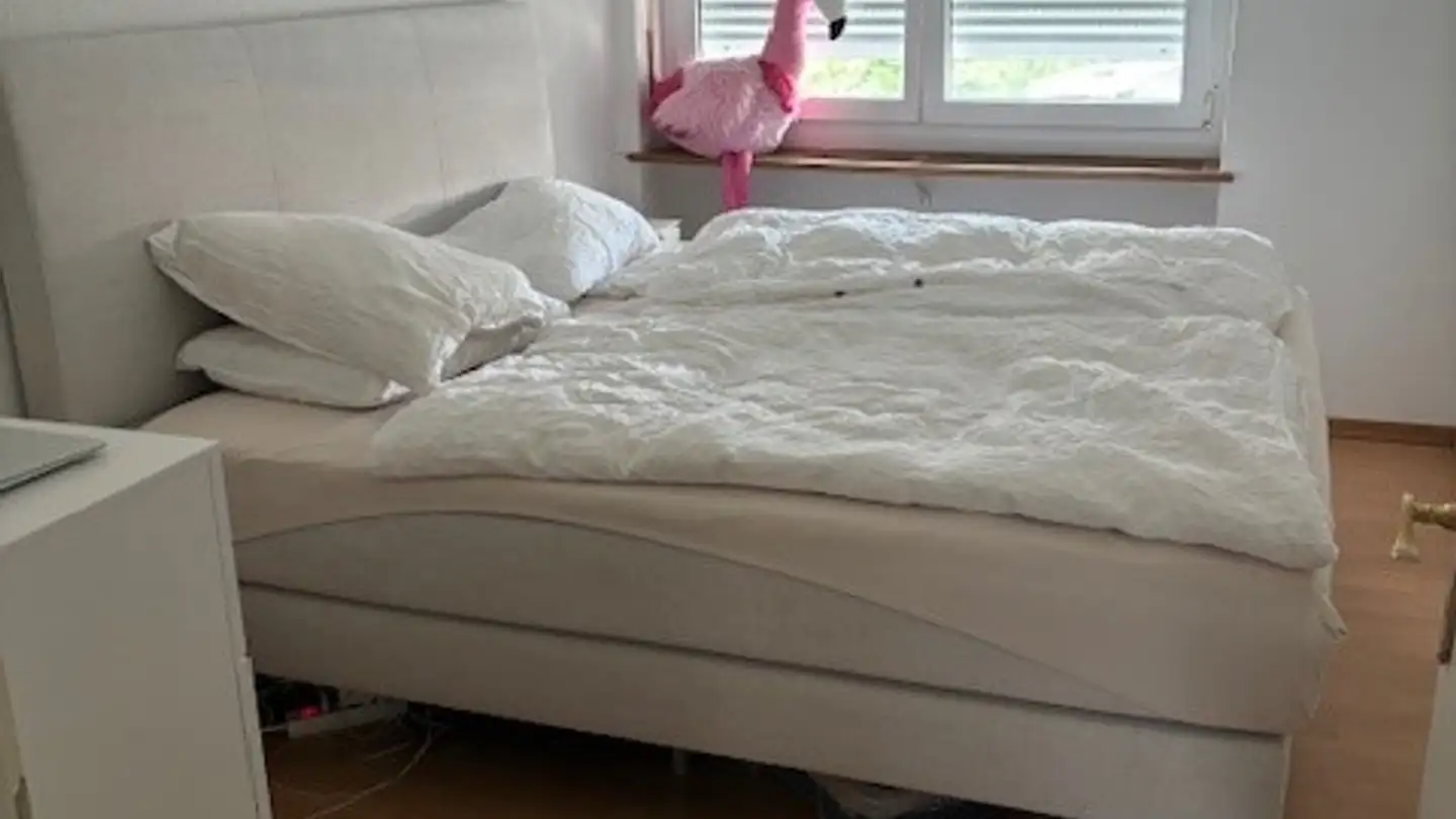 Appartamento in affitto - Klingelbergstrasse 11, 4056 Basel - Photo 2