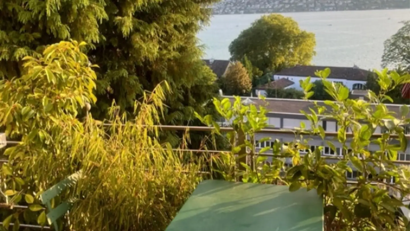 Appartement à louer - 8702 Zollikon