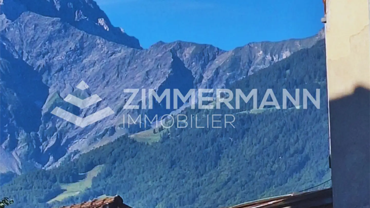 Commercial for rent - Rue Centrale 57, 1880 Bex