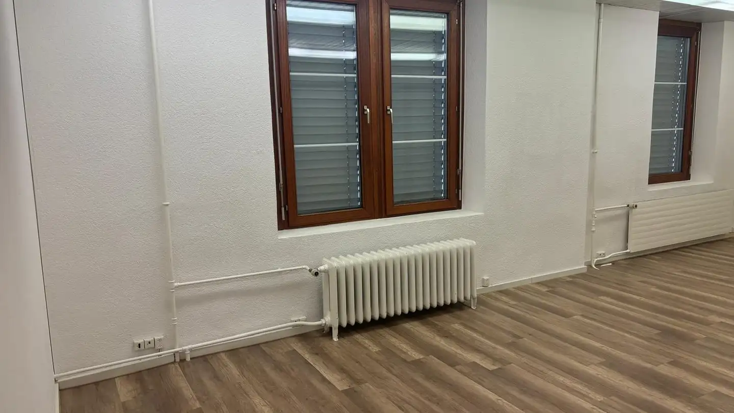 Gewerbe mieten - Thurbruggstrasse 4, 9215 Schönenberg an der Thur - Foto 2