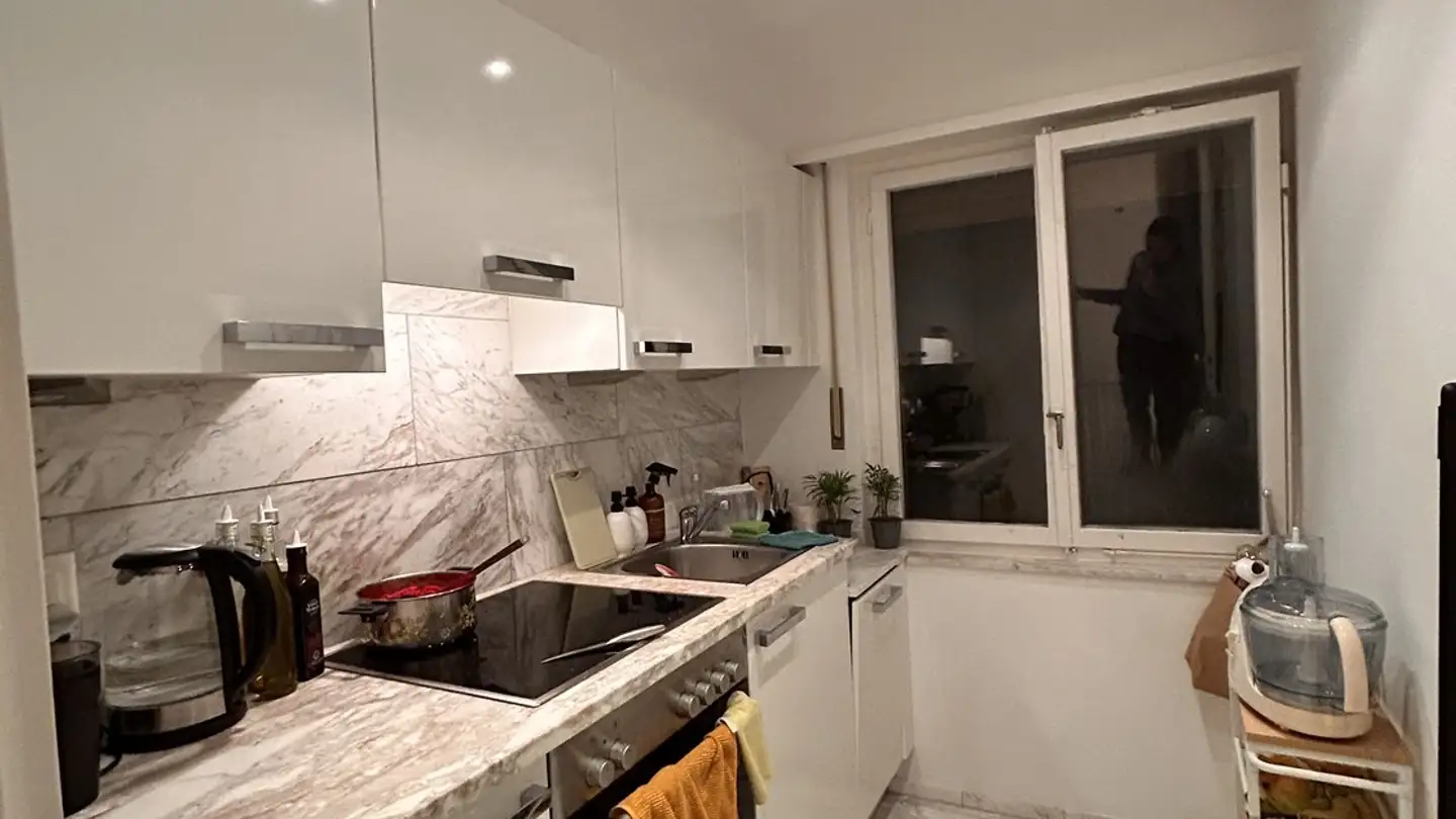 Appartement à louer - Wehntalerstrasse, 8057 Zürich - Photo 3