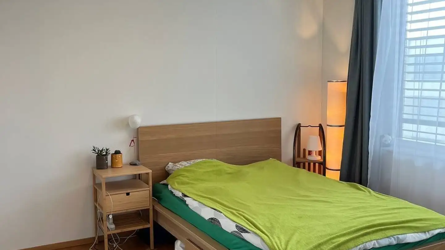 Appartamento in affitto - 8953 Dietikon