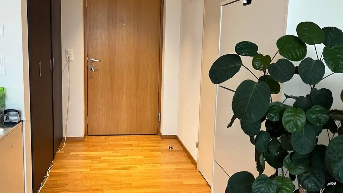 Appartamento in affitto - 8953 Dietikon - Foto 4