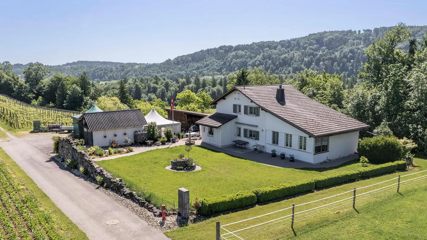Maison individuelle à vendre - Wespersbühlstrasse 14, 8453 Alten