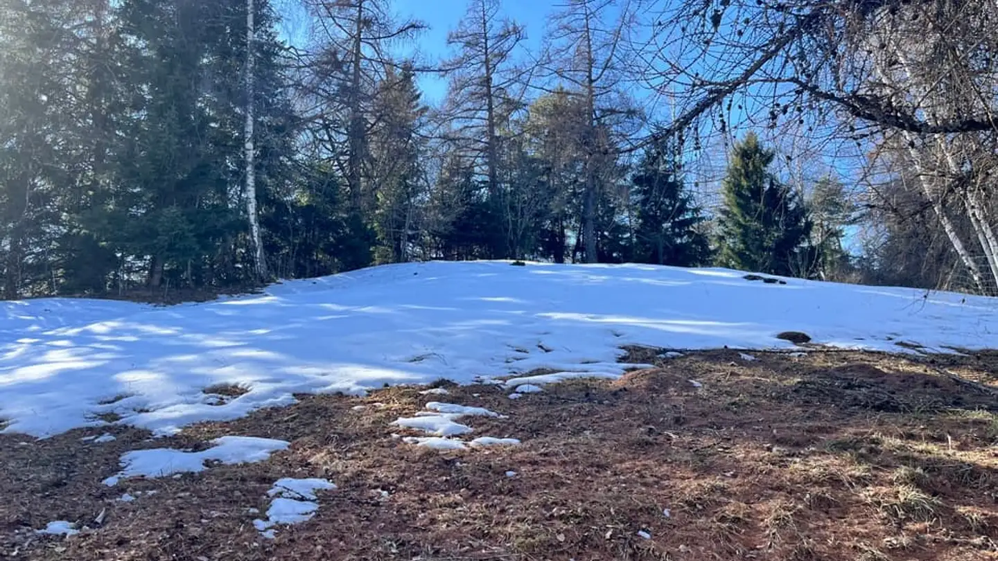 Constructible plot for sale - 1911 Ovronnaz