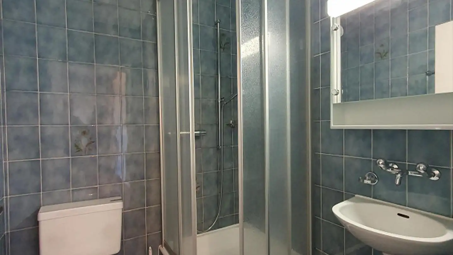 Appartamento in affitto - Quai Du Cheval-Blanc 19, 1227 Les Acacias - Foto 4