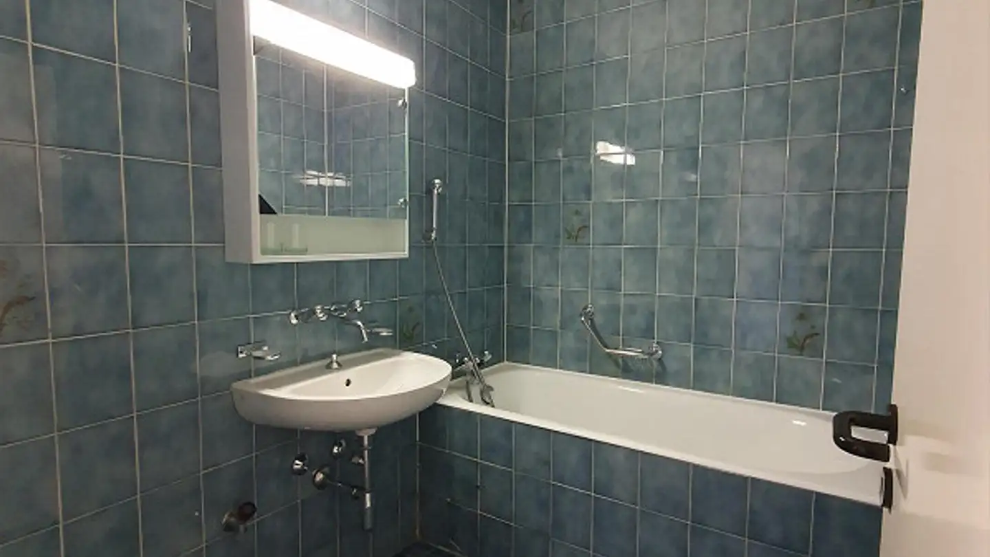 Appartamento in affitto - Quai Du Cheval-Blanc 19, 1227 Les Acacias - Foto 3