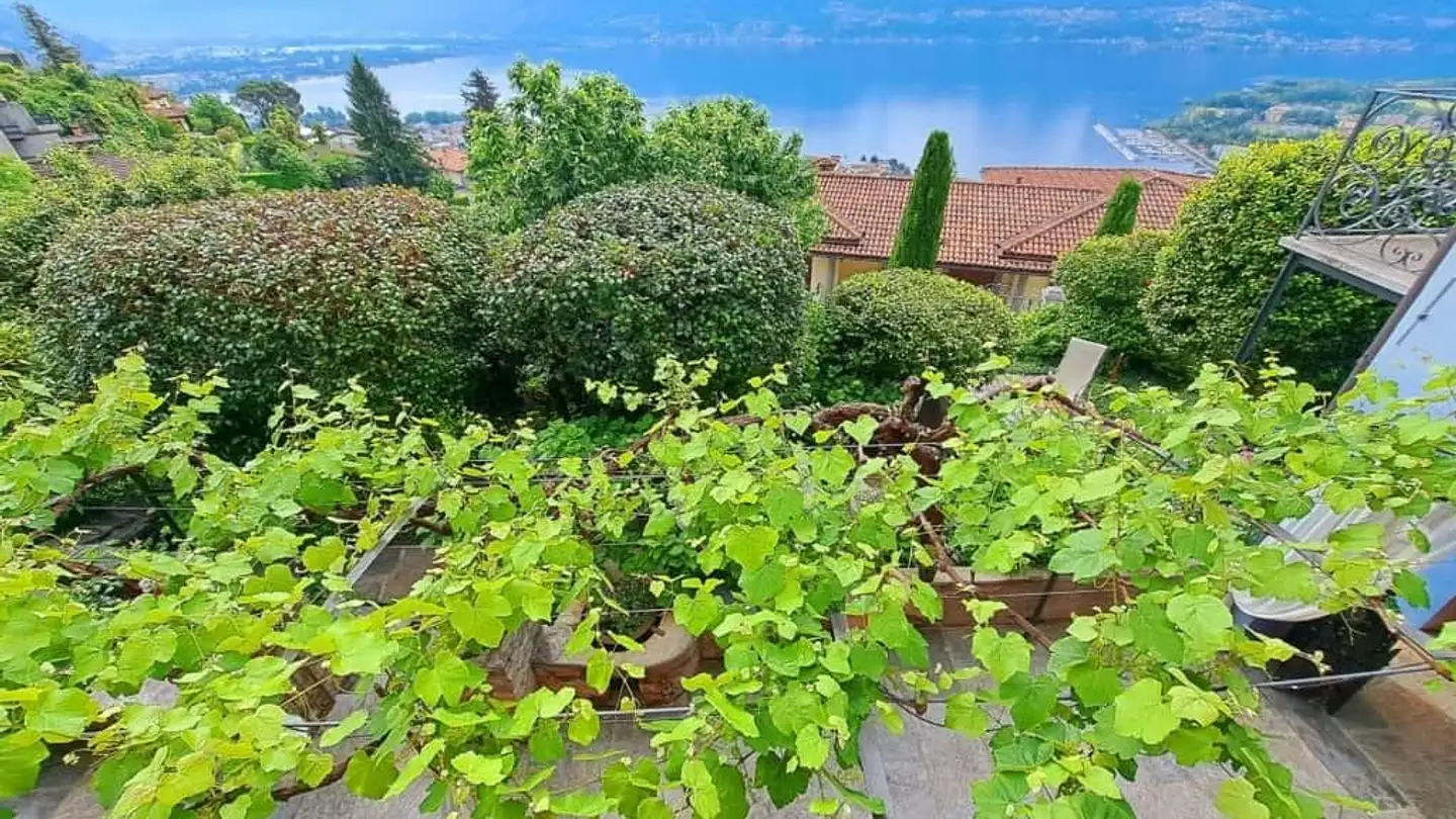 Single house for sale - Case Di Sotto 1, 6644 Orselina - Photo 3