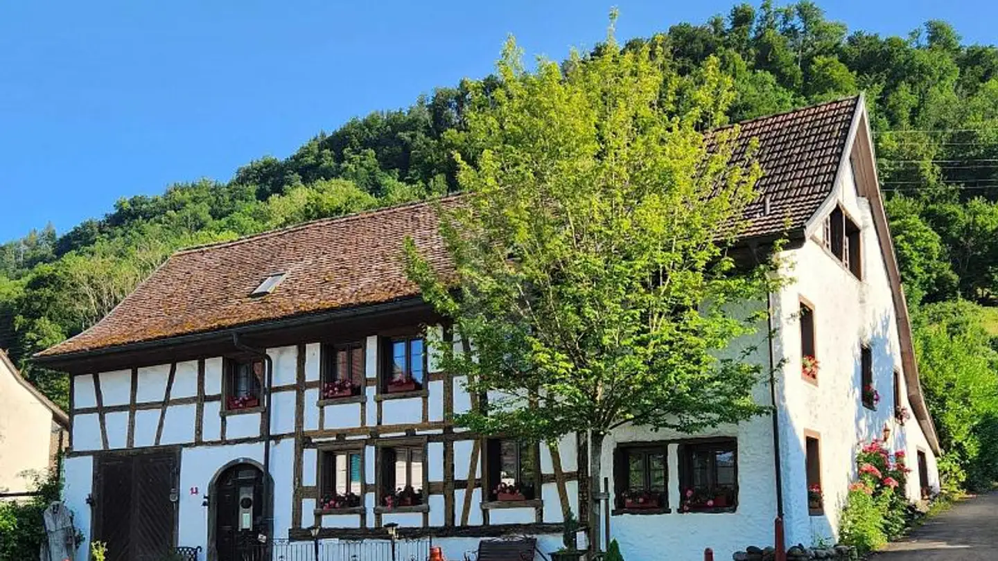 Bauernhof kaufen - 5332 Rekingen AG