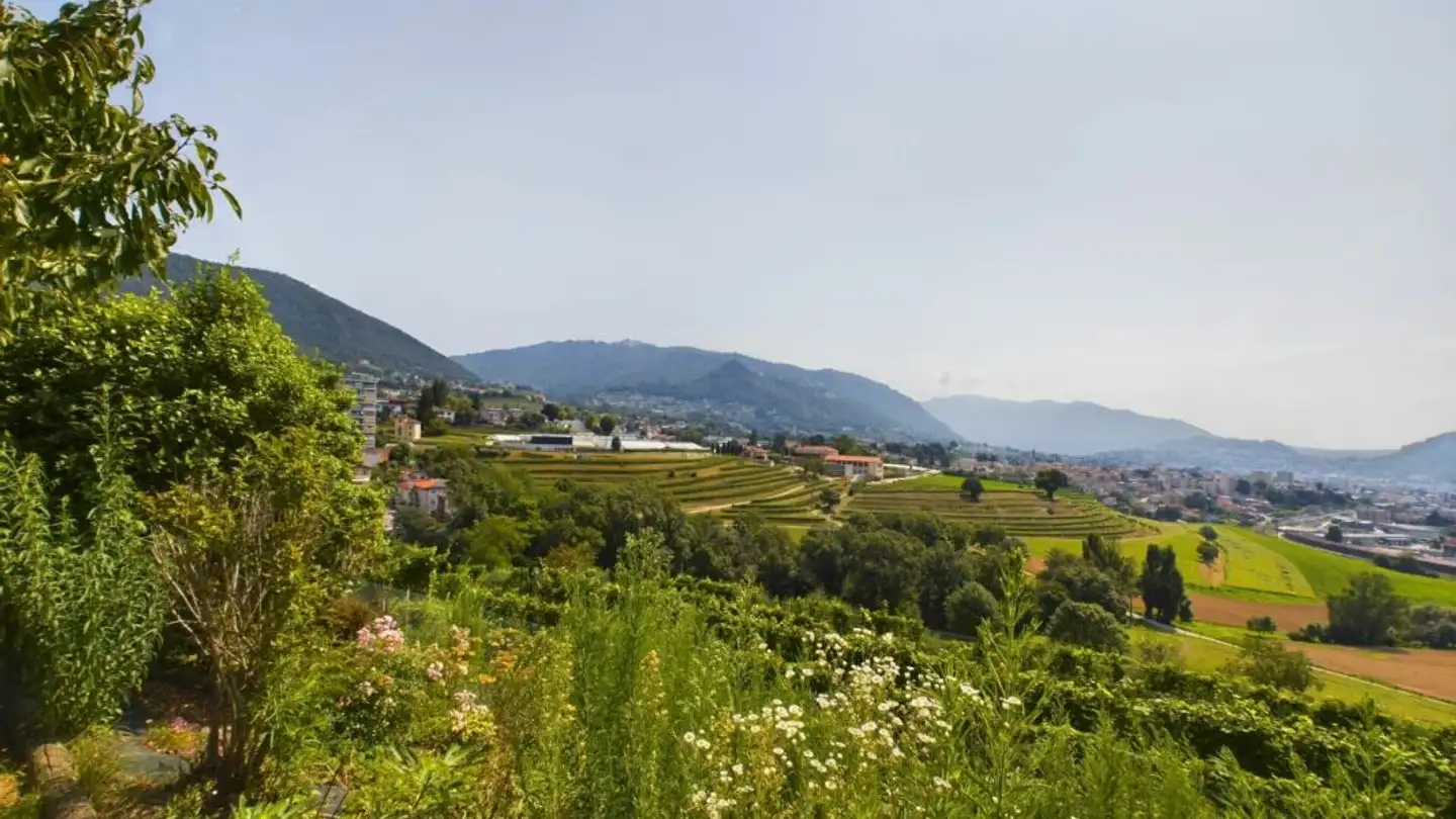 Duplex in vendita - Via Bongio 23b, 6877 Coldrerio - Photo 3