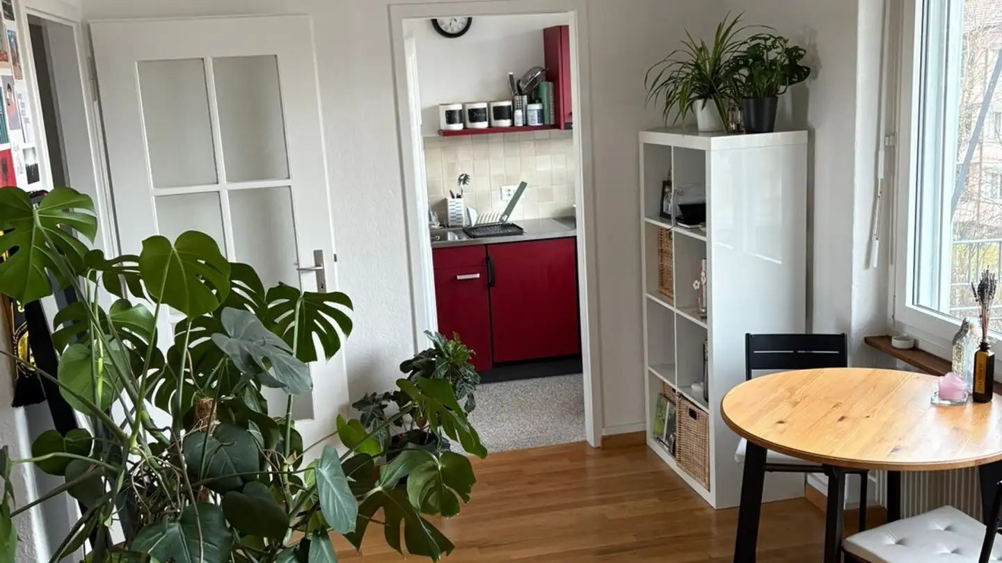 Appartamento in affitto - 3014 Bern