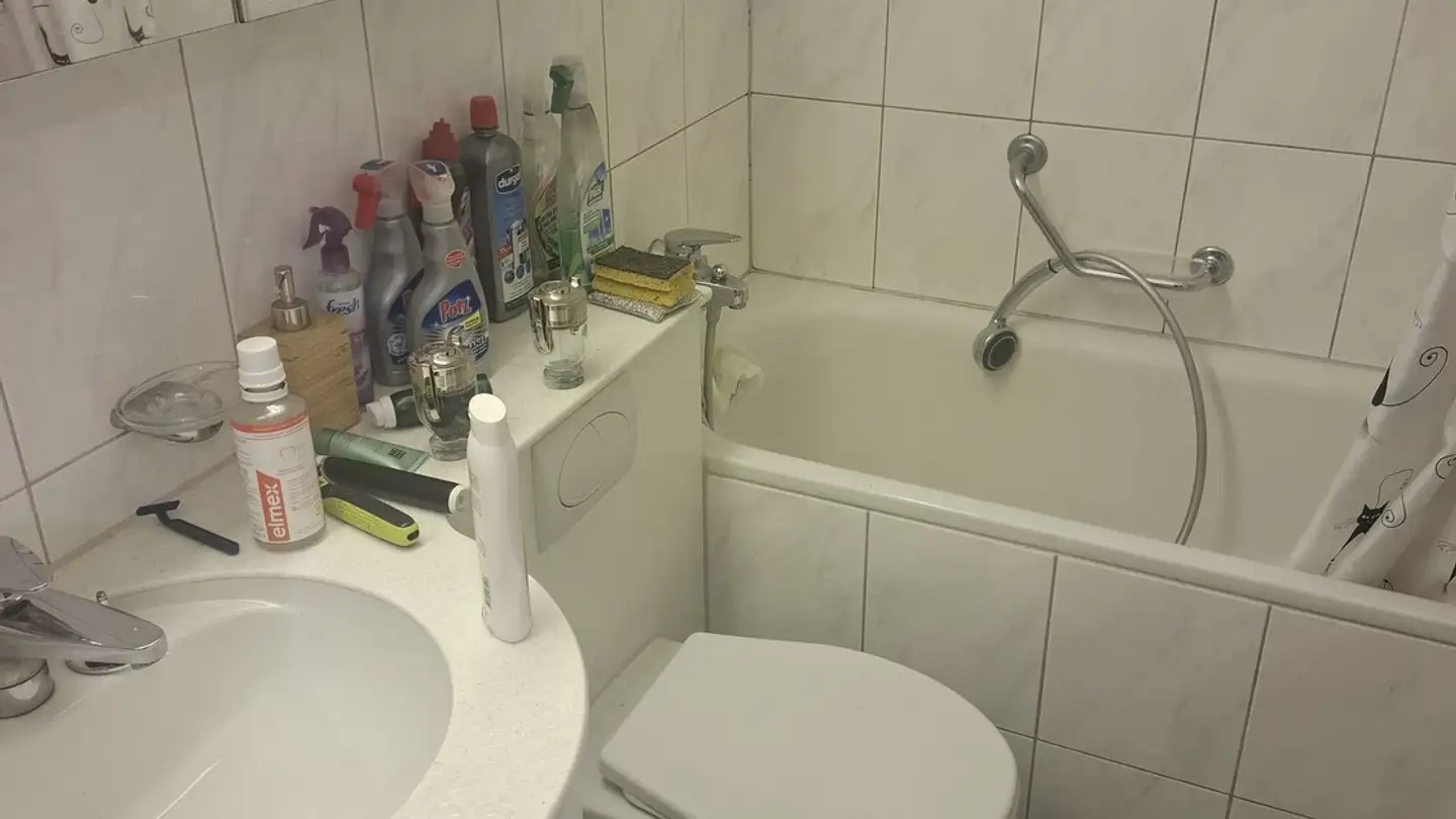 Appartamento in affitto - Schellerstrasse 13, 8804 Au ZH - Foto 3