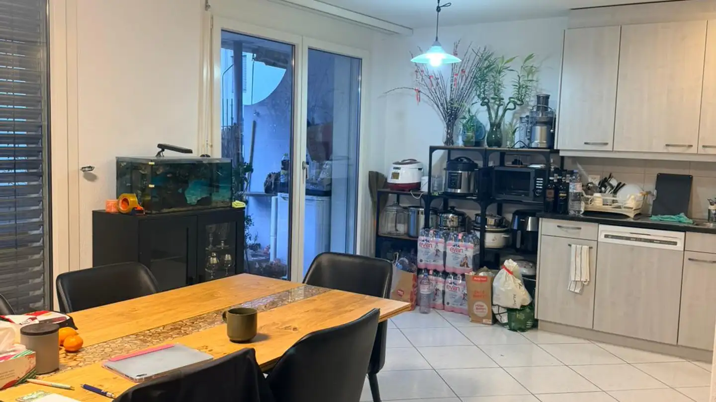 Appartamento in affitto - Tribschenstrasse 44b, 6005 Luzern - Foto 4