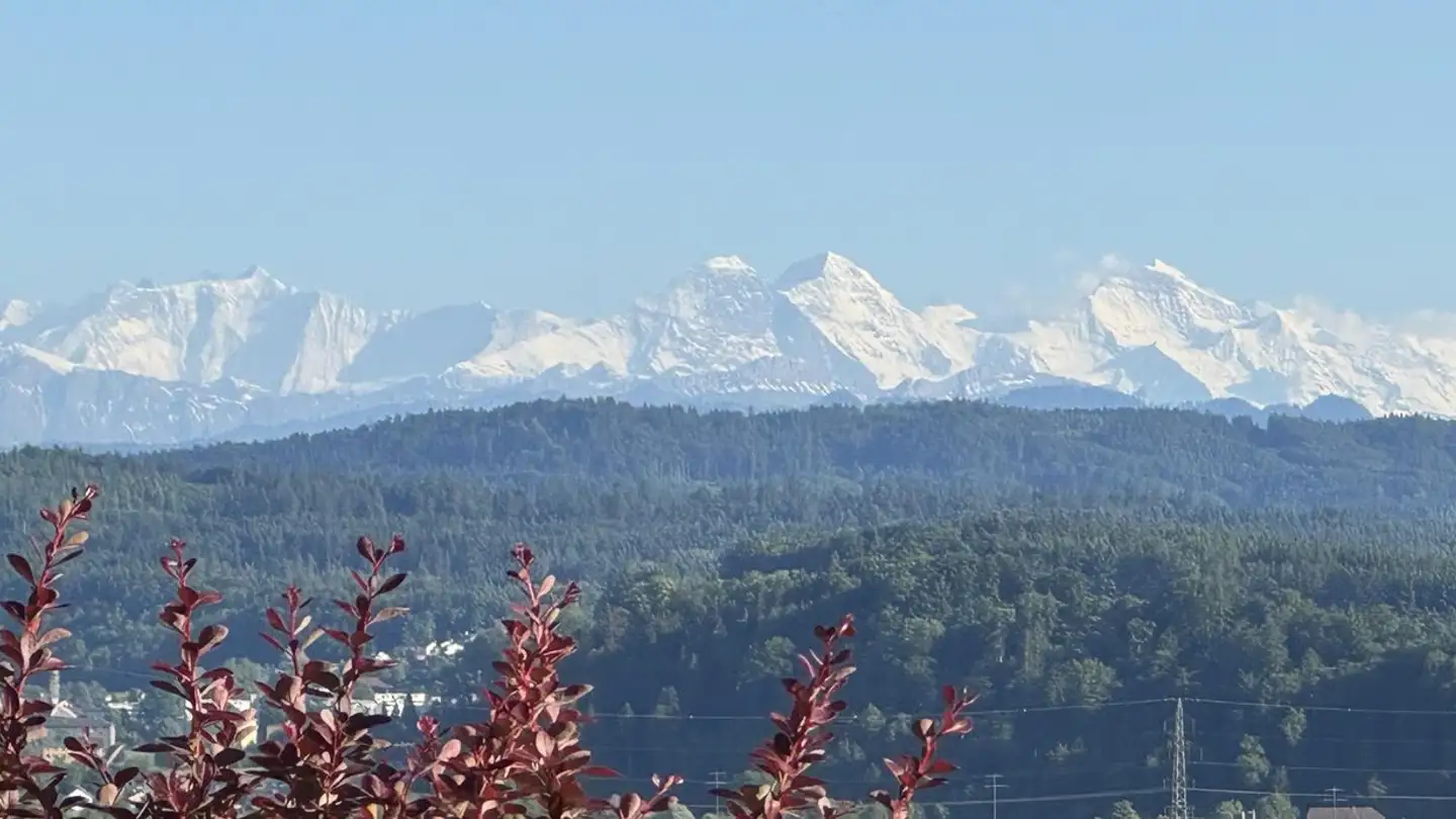 Maison individuelle à vendre - Alpenblickweg 2, 4665 Oftringen - Photo 2