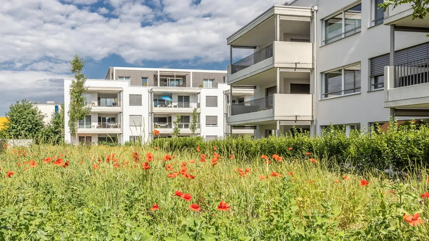 Laboratorio in vendita - Gstaadmattstrasse, 4452 Itingen