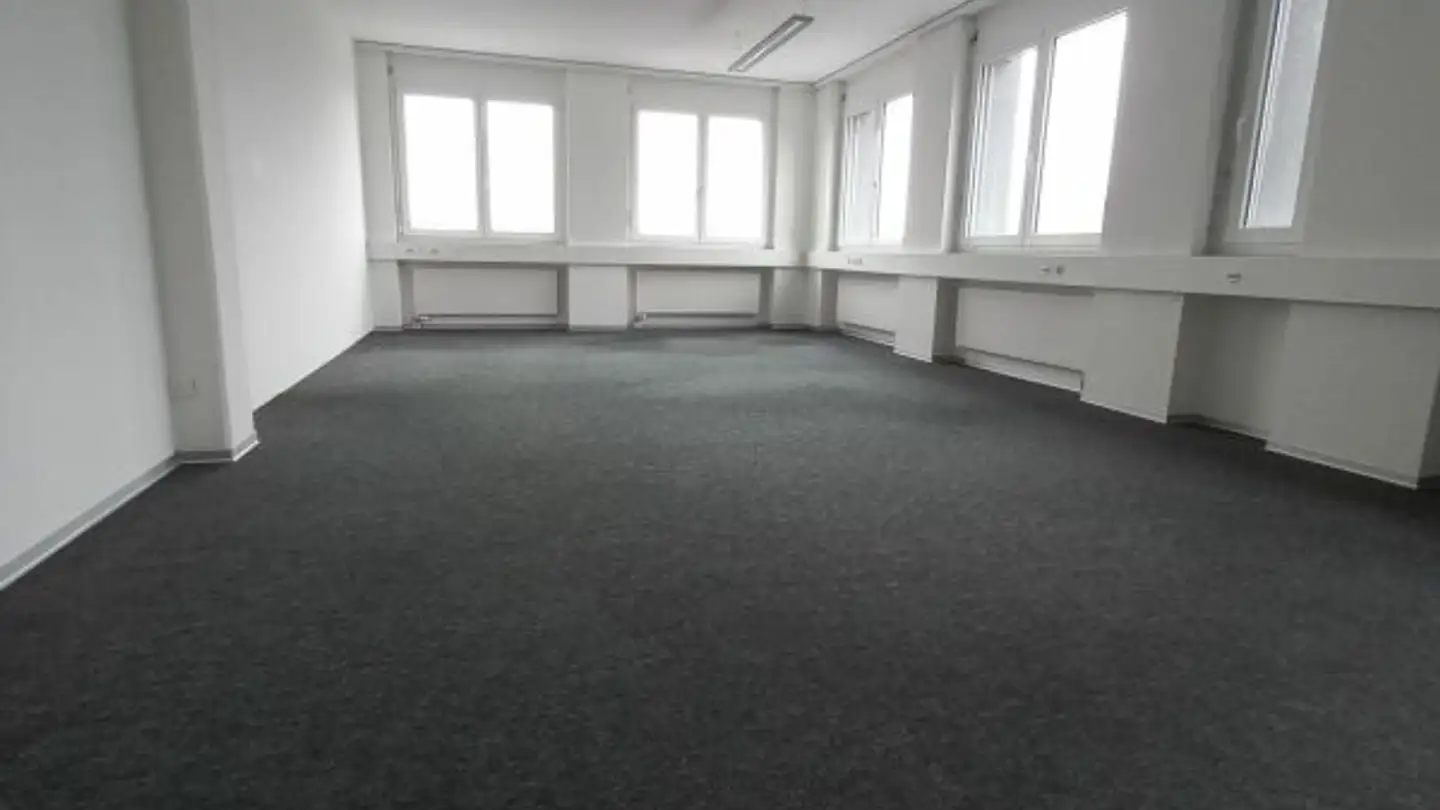 Office space for rent - Hofwisenstrasse 2, 8260 Stein am Rhein - Photo 3
