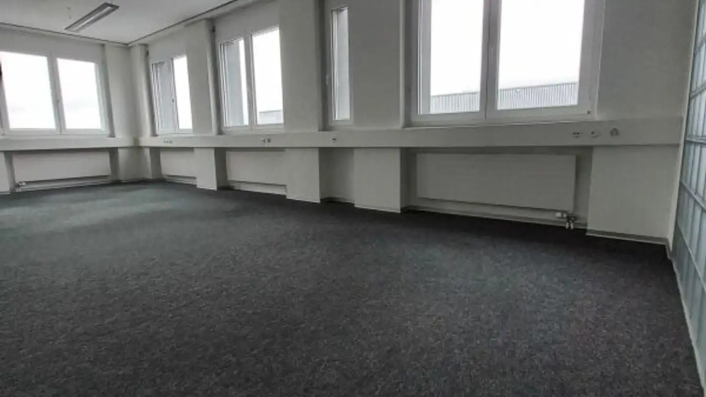 Office space for rent - Hofwisenstrasse 2, 8260 Stein am Rhein - Photo 4