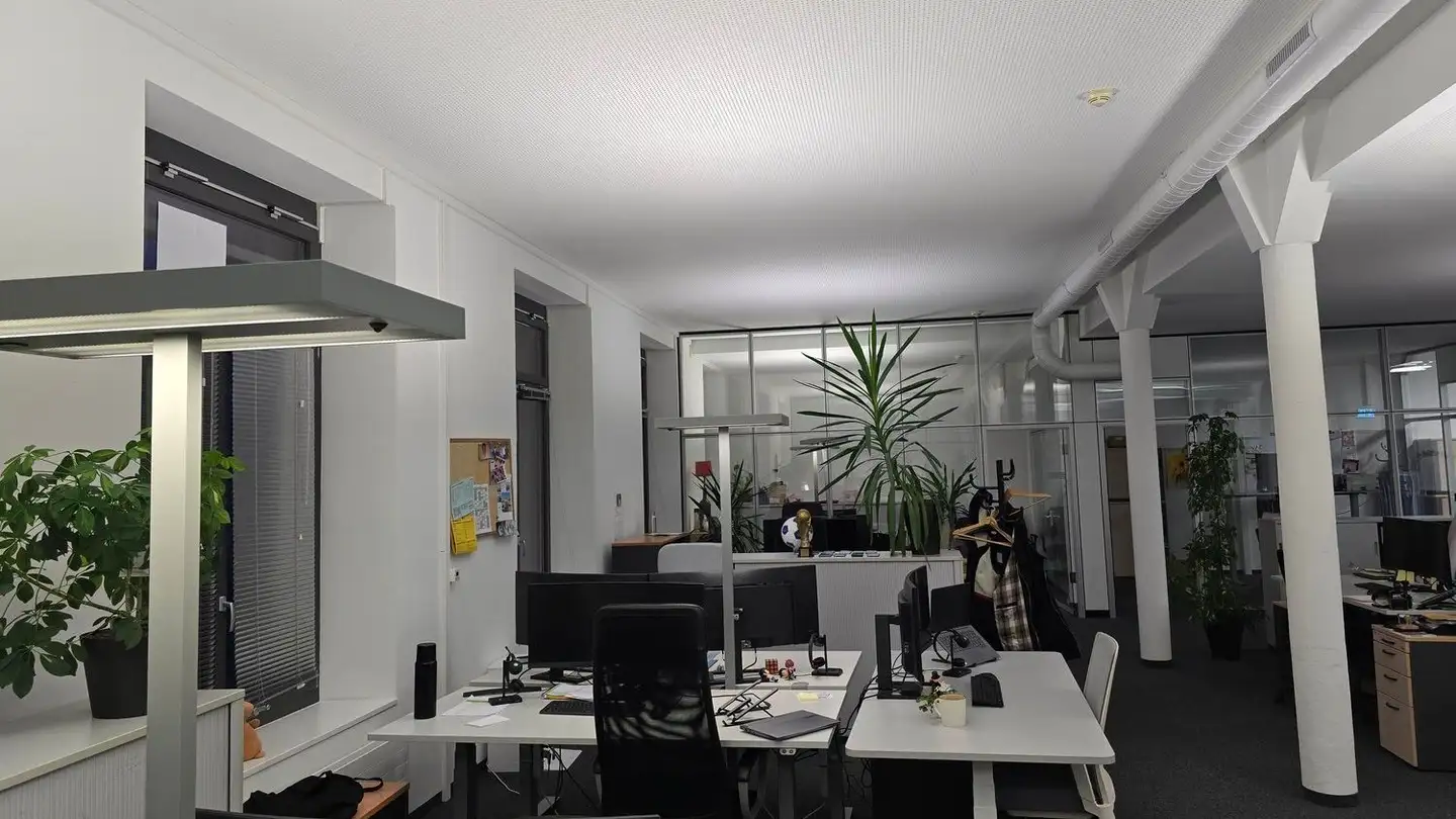 Commerciale in affitto - Spinnerei-Lettenstrasse 2, 8192 Zweidlen - Foto 2