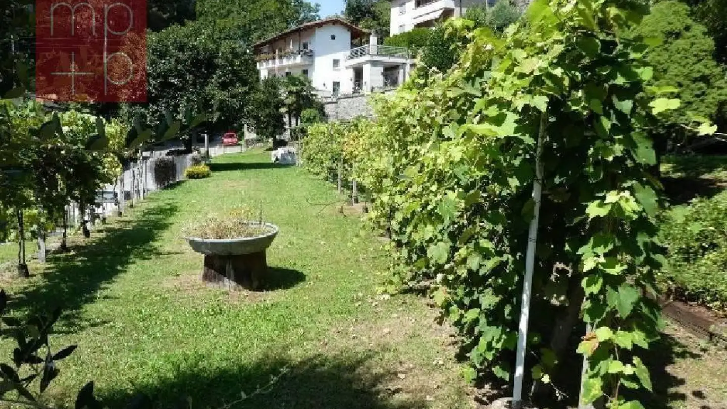 Constructible plot for sale - 6968 Sonvico - Photo 4
