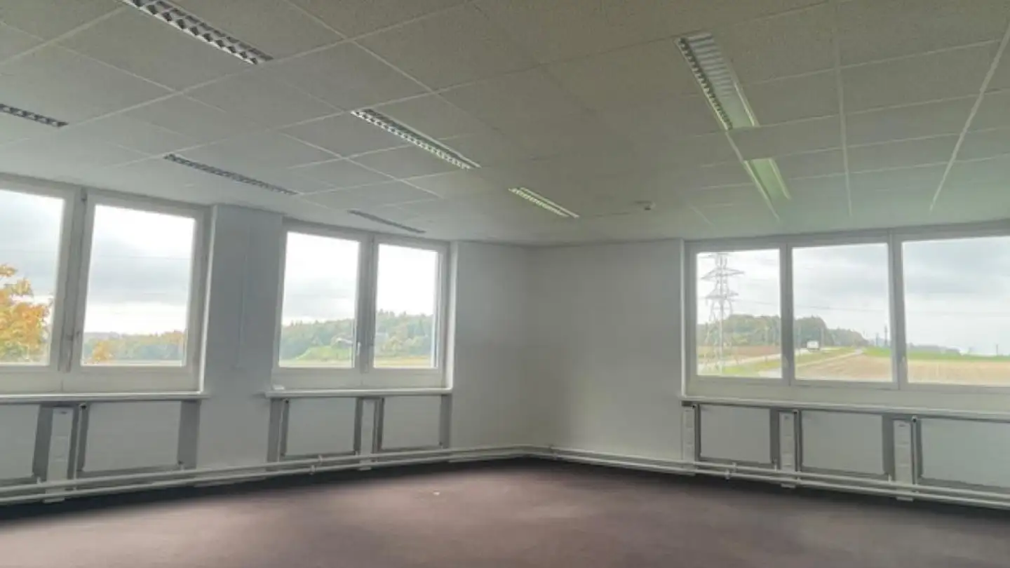 Gewerbe mieten - Murtenstrasse 116, 3202 Frauenkappelen - Foto 2