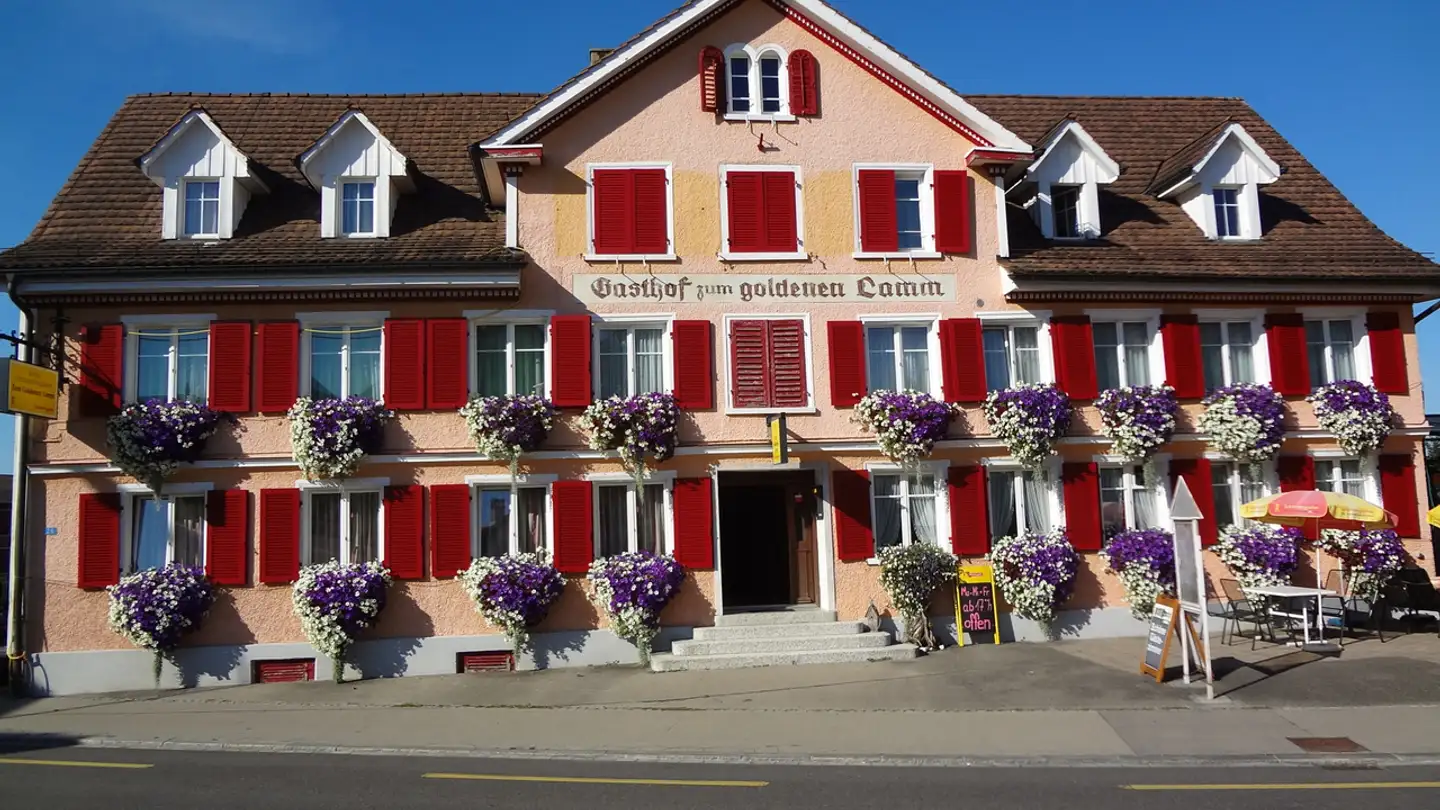 Maison individuelle à vendre - Hauptstrasse 26, 8594 Güttingen