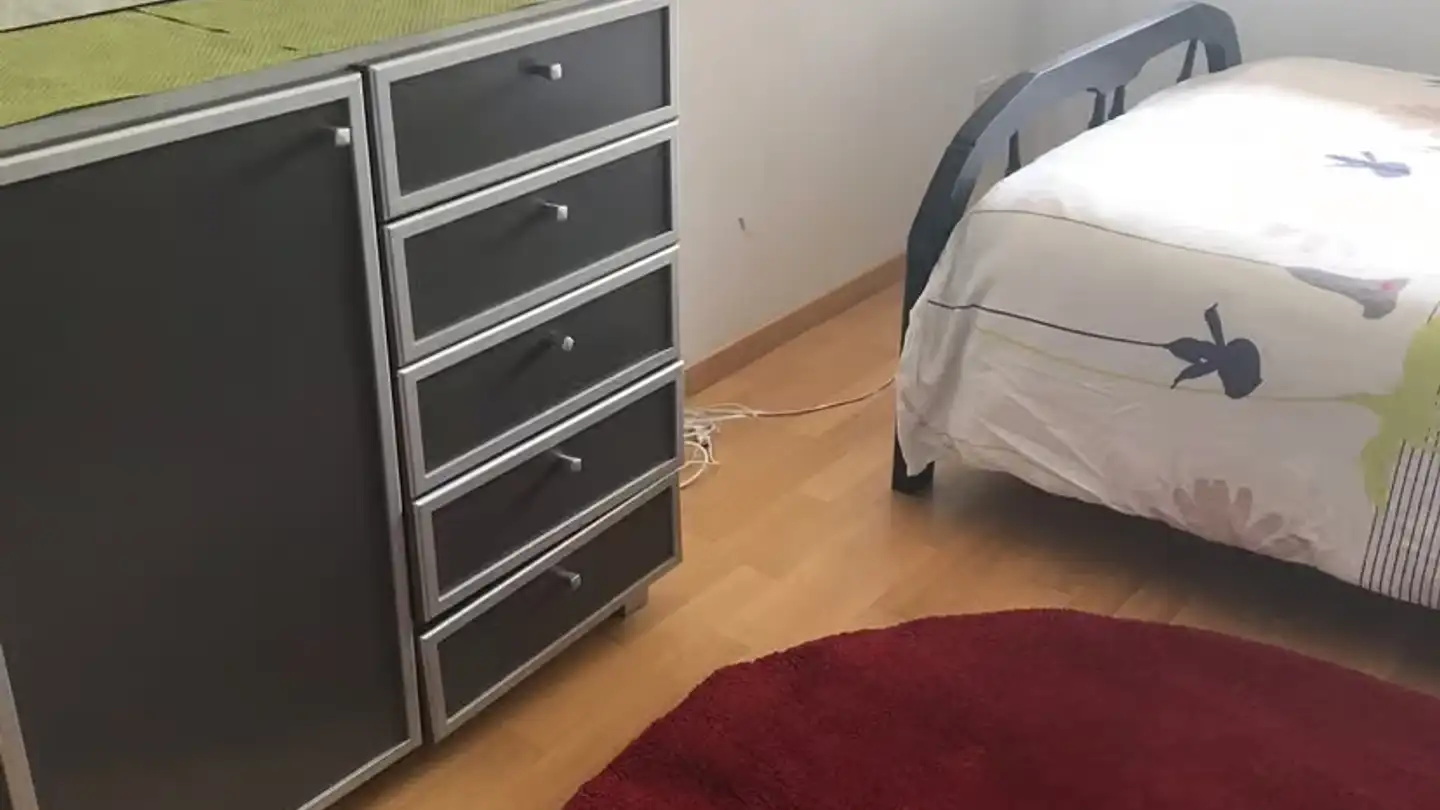 Chambre à louer - 8426 Lufingen - Photo 2