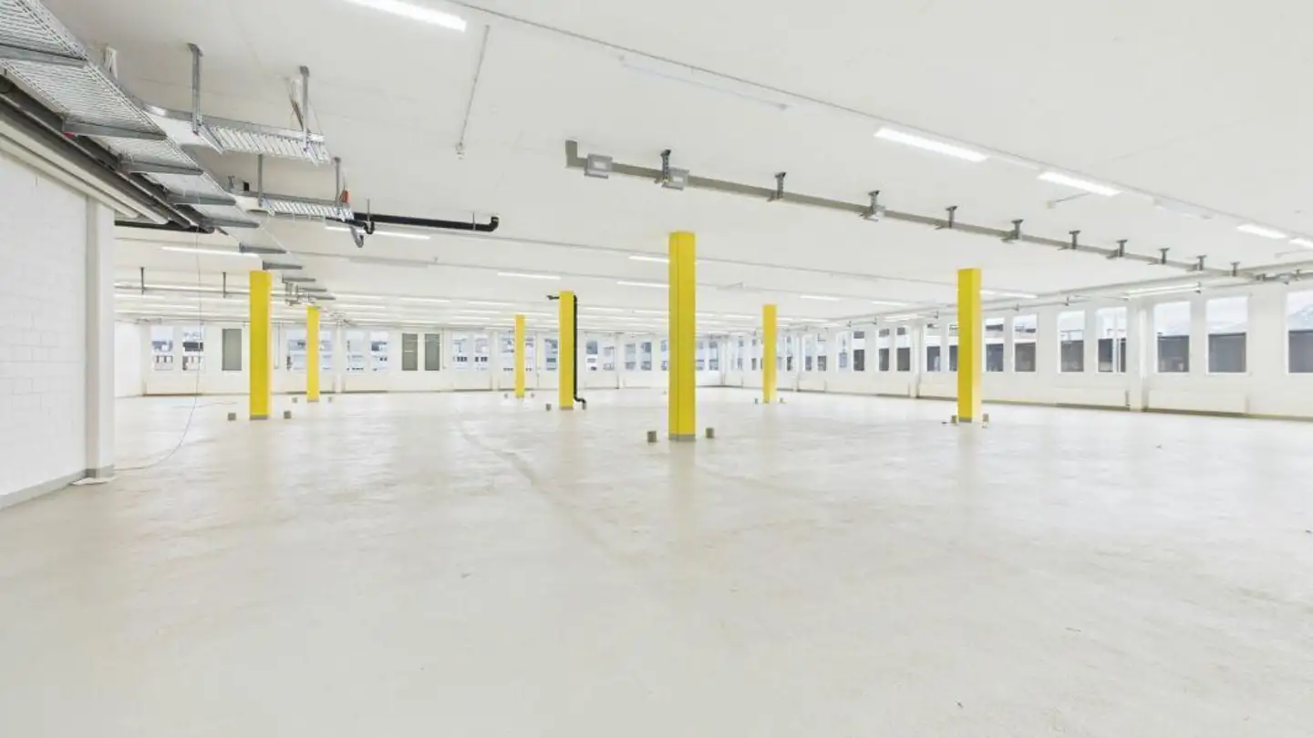 Commercial for rent - Riedstrasse 8, 6330 Cham - Photo 4