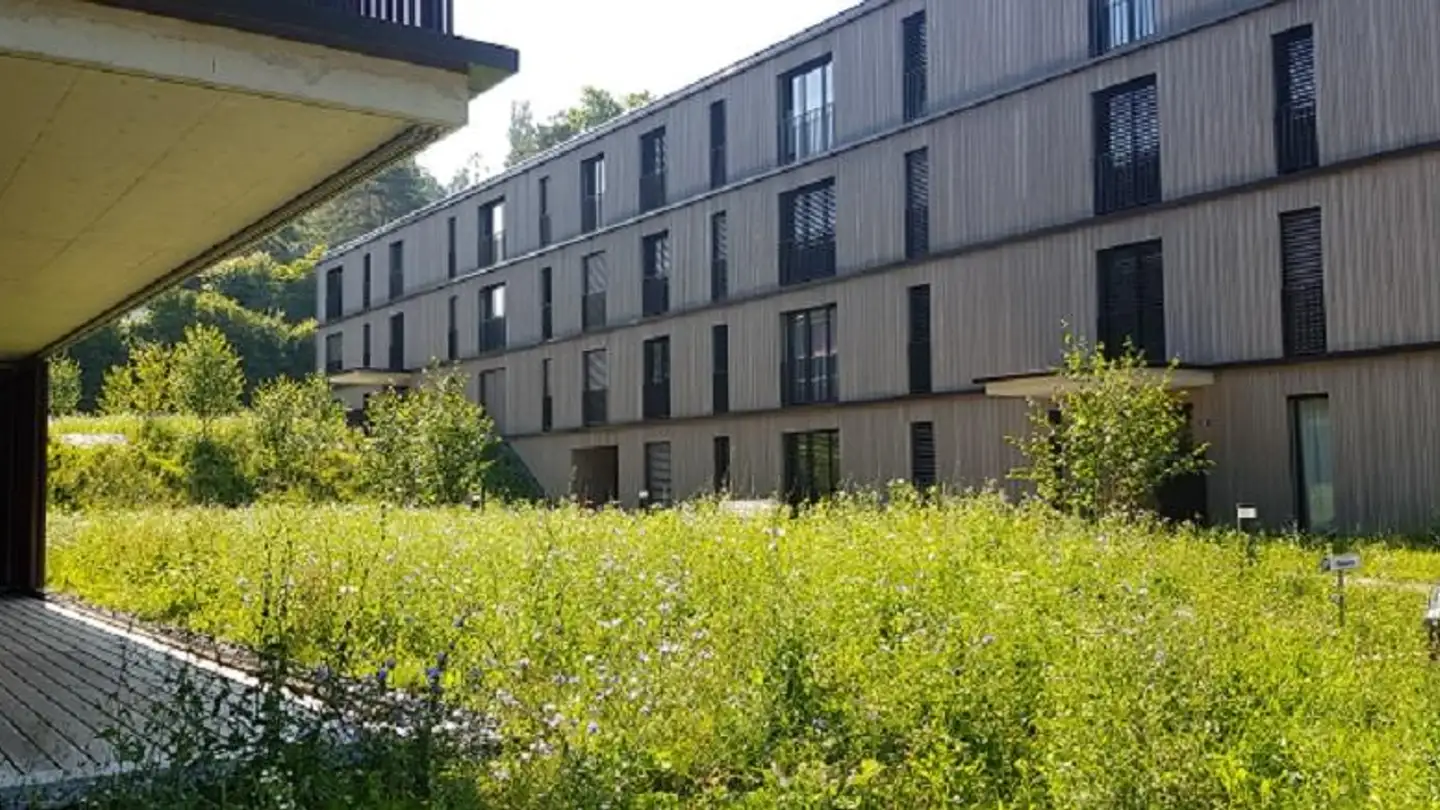 Wohnung mieten - Burgstrasse 15, 8408 Winterthur