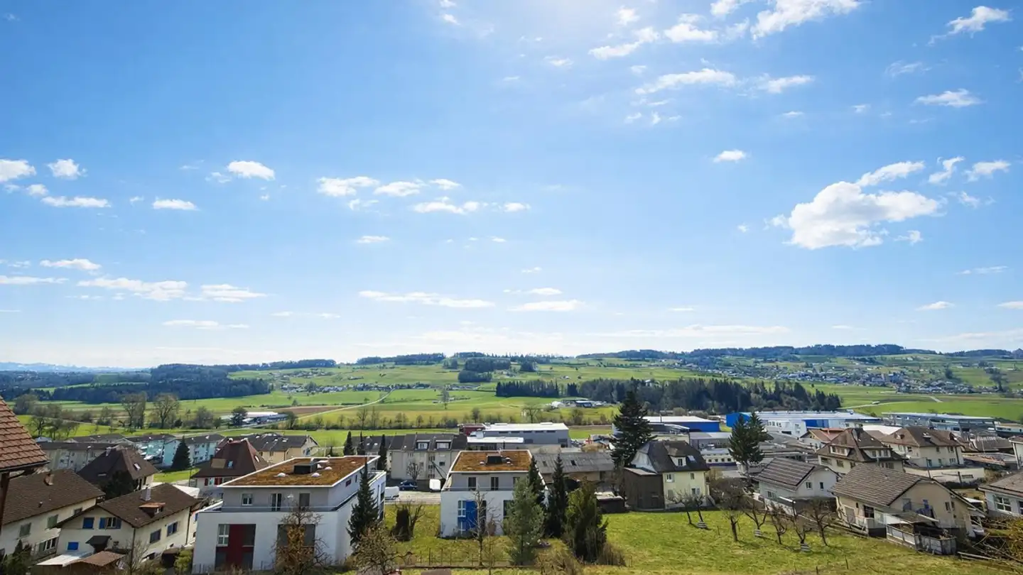 Apartment for sale - 6234 Triengen - Photo 3