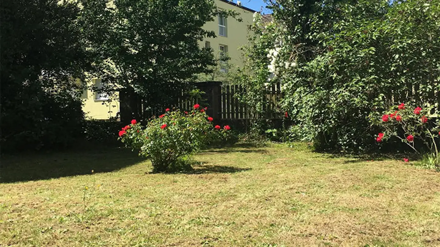 Appartamento in affitto - 5430 Wettingen