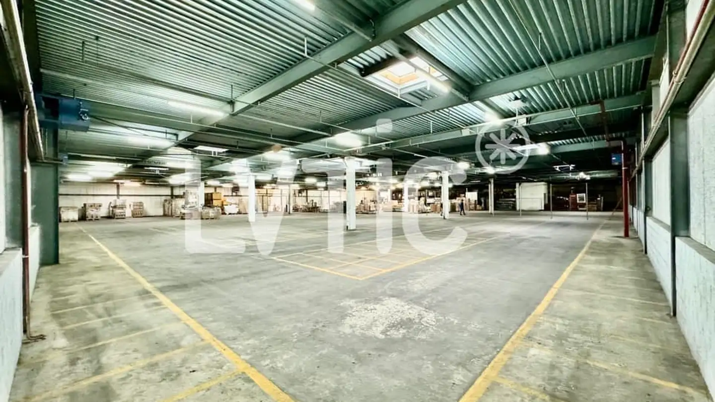 Commerciale in affitto - Etoy, 1163 Etoy - Foto 2