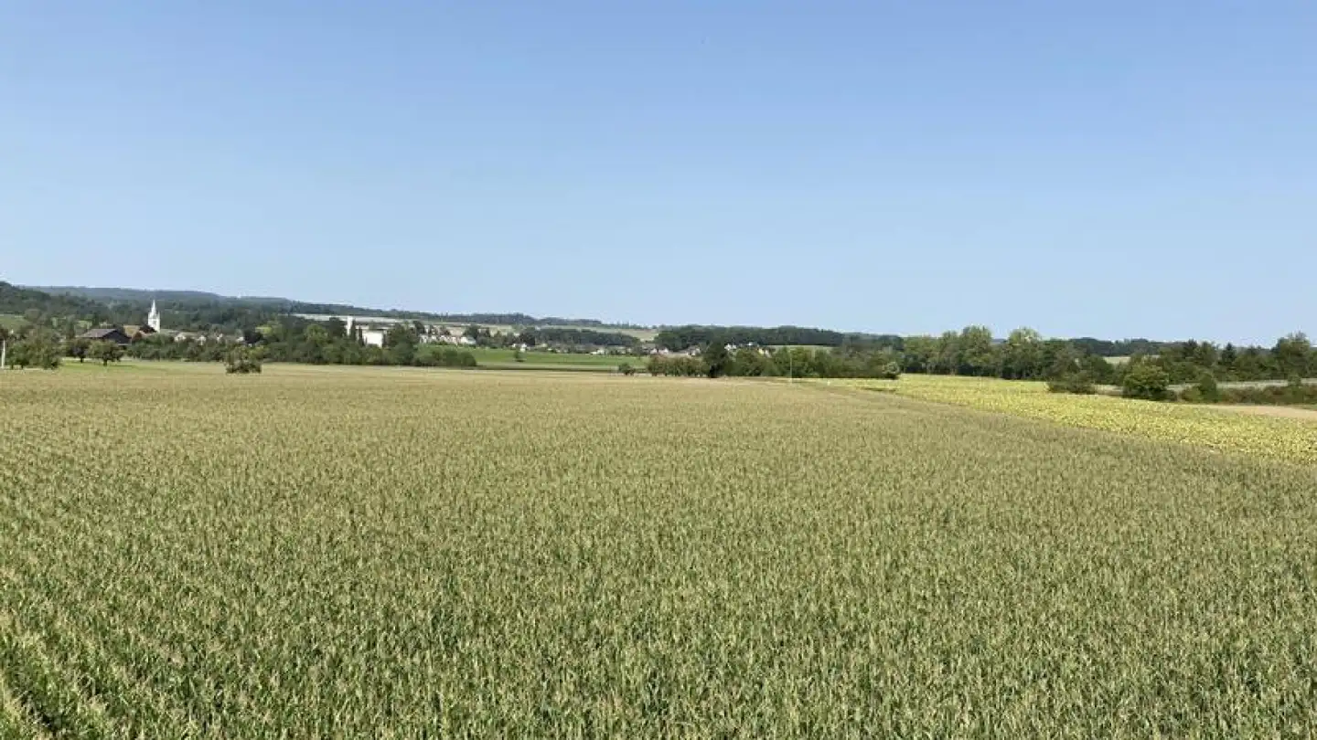 Casa singola in vendita - Haslistrasse, 8554 Müllheim-Wigoltingen - Photo 4