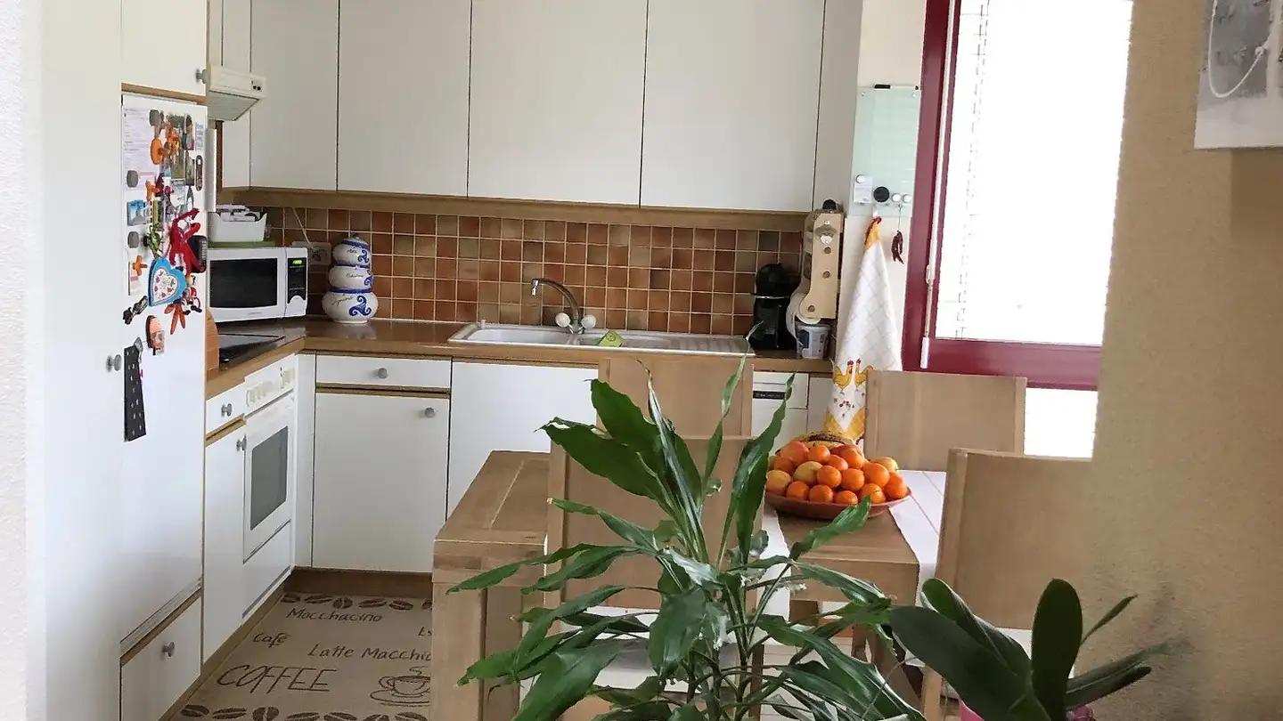 Appartamento in affitto - Chemin De Longet 1, 1031 Mex VD - Foto 2