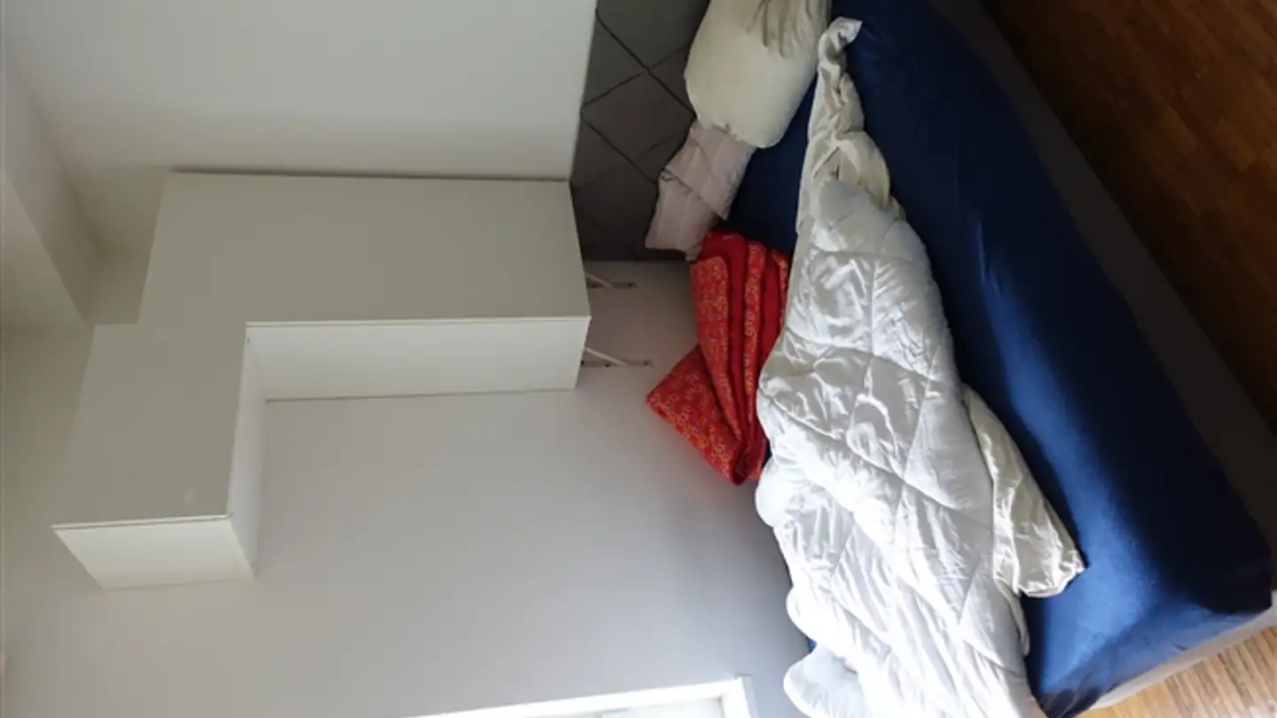 Appartement à louer - 9016 St. Gallen - Photo 3