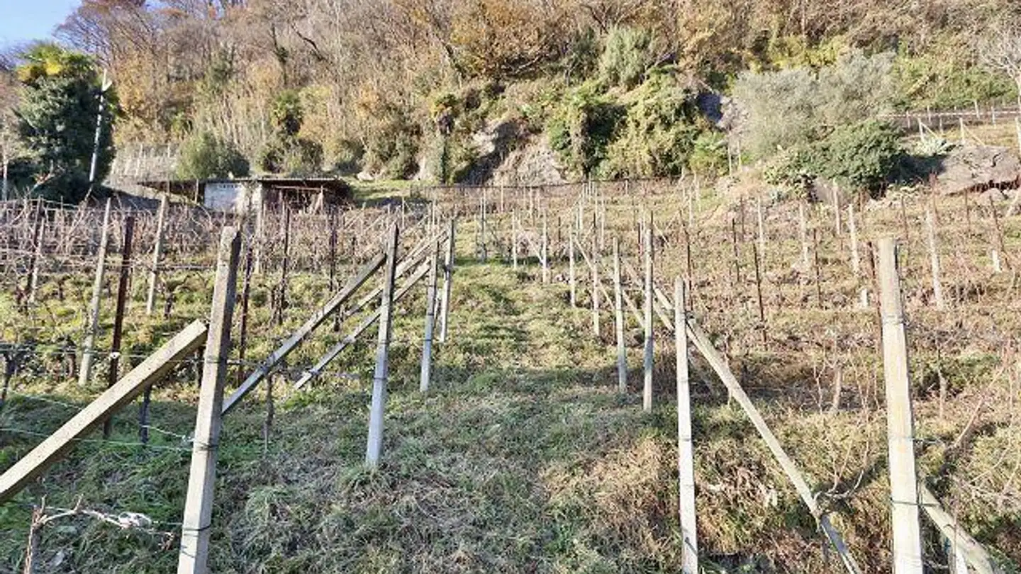 Terreno edificabile in vendita - 6514 Sementina - Foto 3