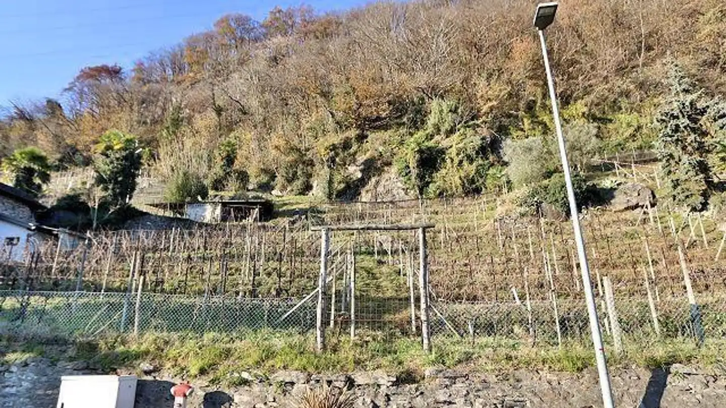 Terreno edificabile in vendita - 6514 Sementina