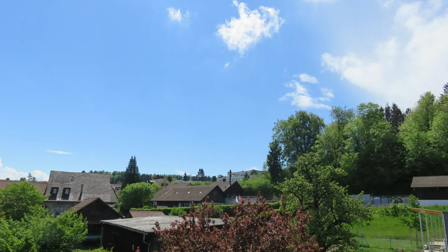 Appartamento in affitto - Bachtobelstrasse 15, 8123 Ebmatingen - Foto 2