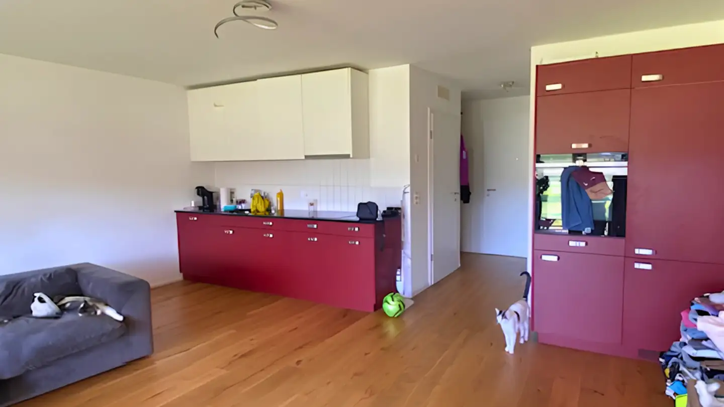 Duplex à louer - Route De La Gruyère 69, 1651 Villarvolard - Photo 3