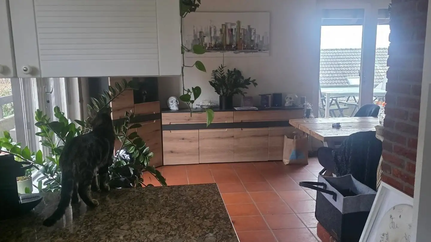 Appartamento in affitto - 3011 Bern - Foto 3