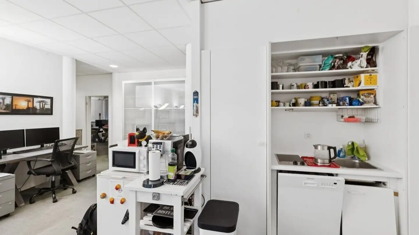 Office space for rent - Chemin D'eysins 53, 1260 Nyon - Photo 4