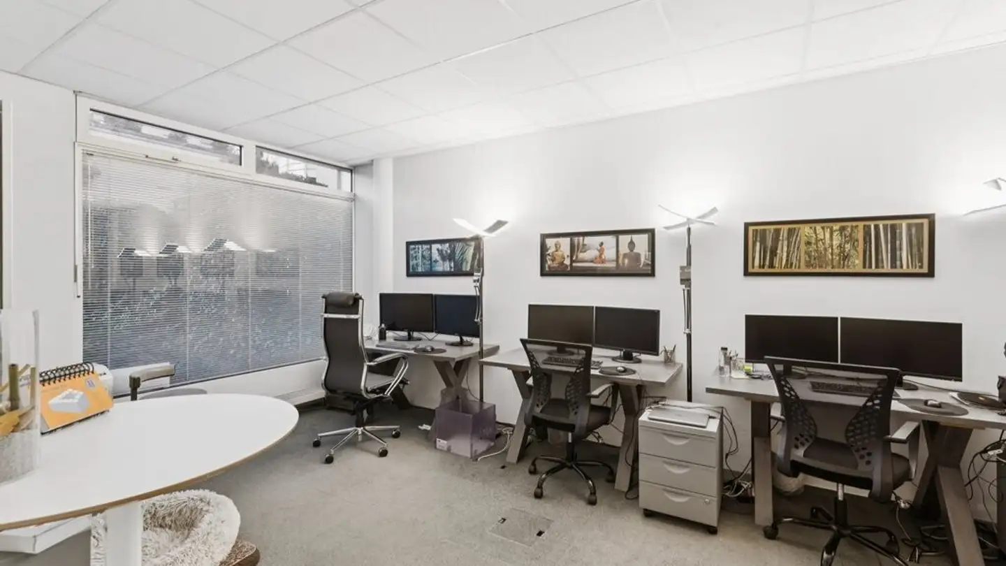 Spazio ufficio in affitto - Chemin D'eysins 53, 1260 Nyon - Foto 3