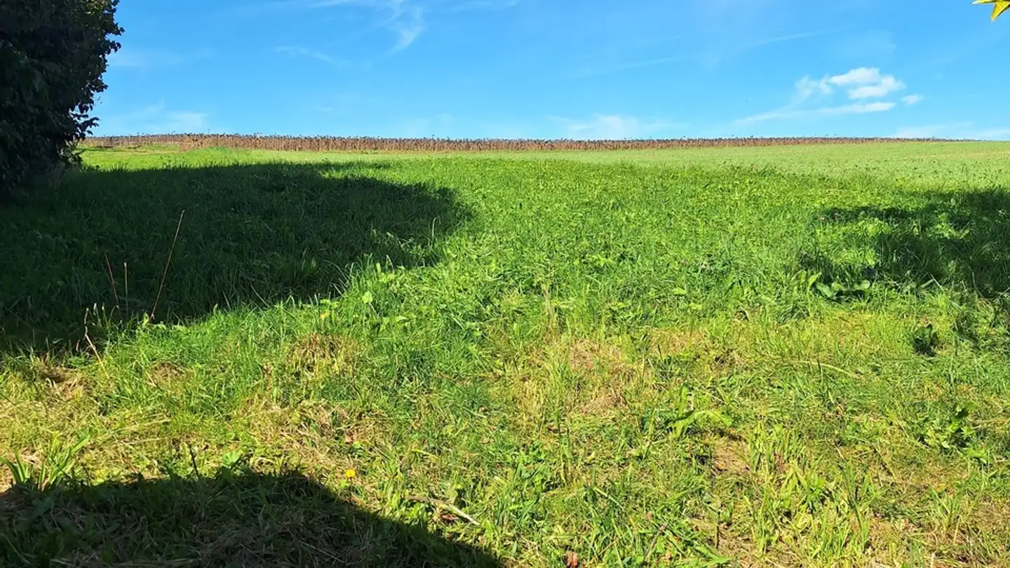 Constructible plot for sale - 1084 Carrouge VD