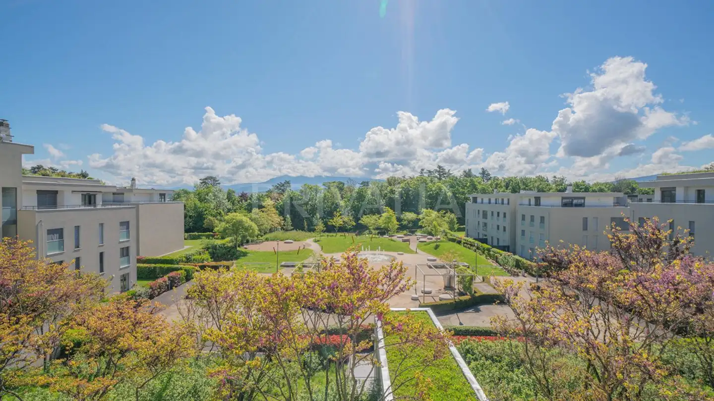 Appartamento in affitto - 1292 Chambésy - Foto 4