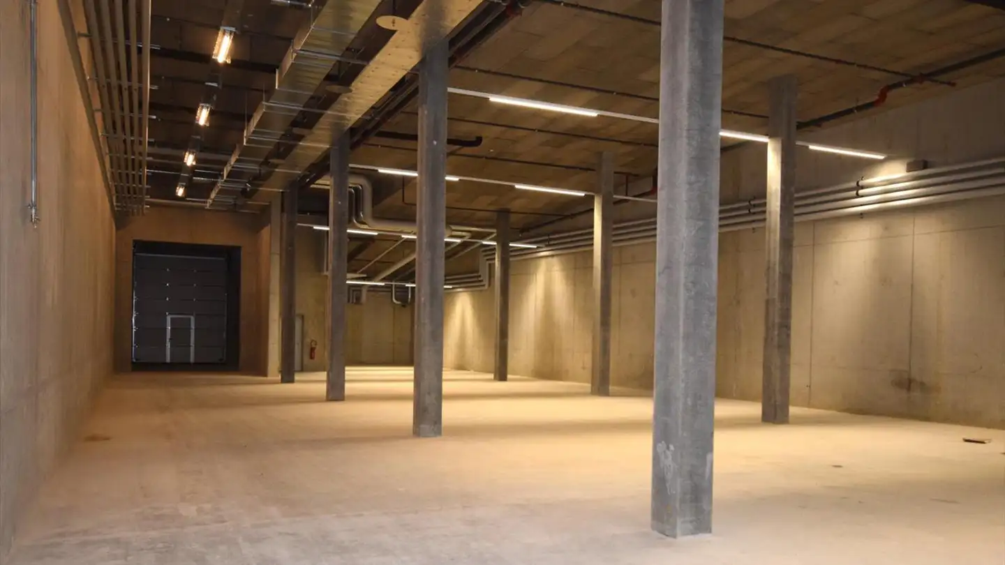 Commerciale in affitto - Route Des Fayards 282, 1290 Versoix - Foto 4