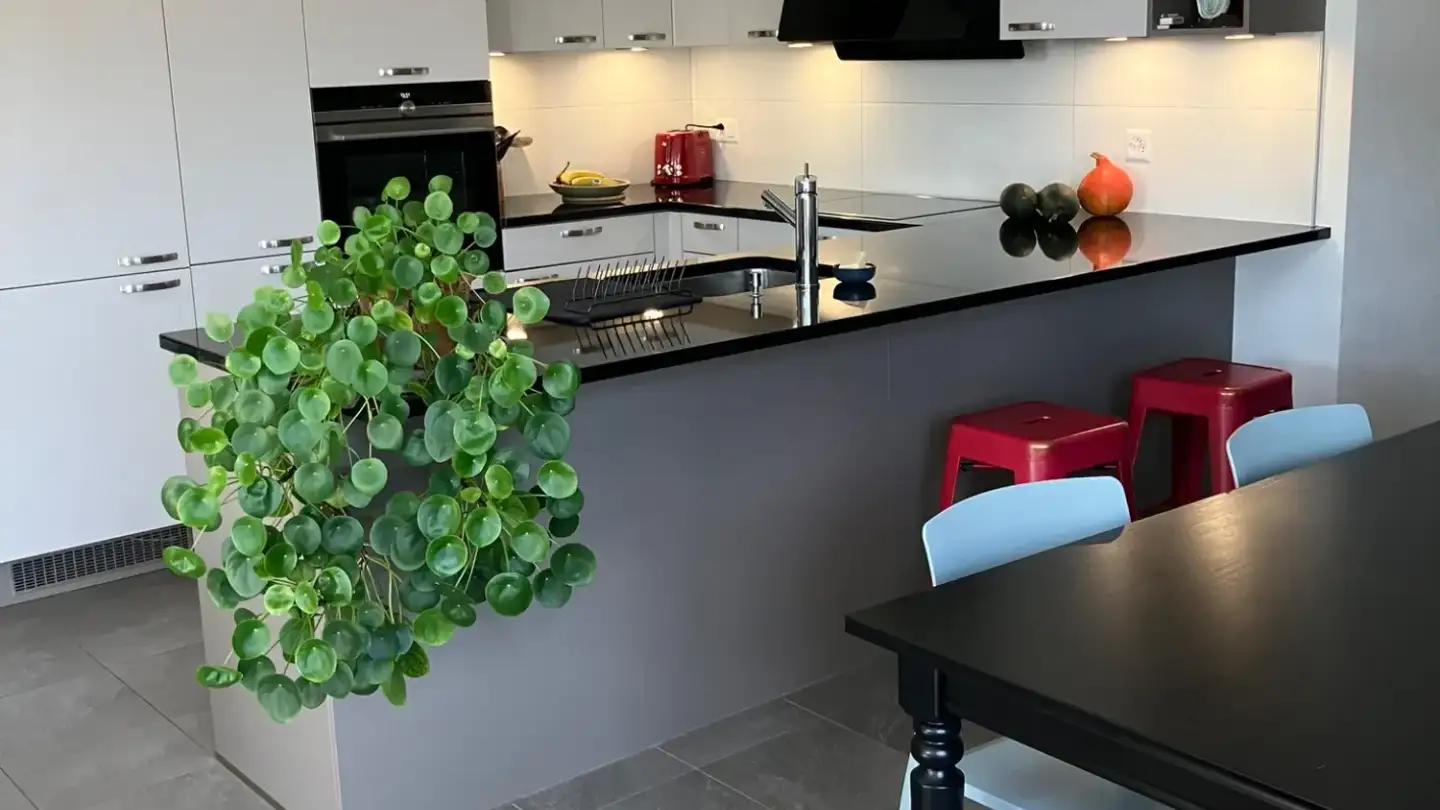 Appartement à louer - Les Oches 2, 1442 Montagny-près-Yverdon - Photo 2